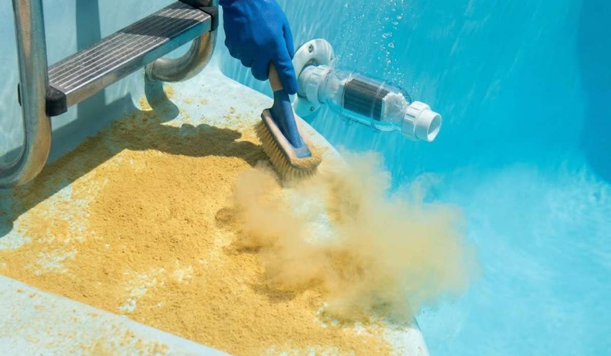 Algue moutarde dans ta piscine au sel : pourquoi elle résiste et comment l’éliminer