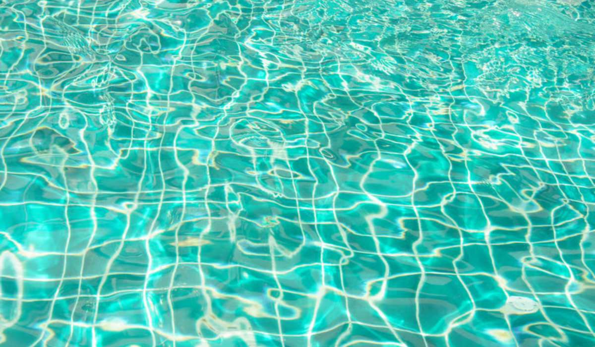 Comment enlever les algues d’une piscine naturellement ?