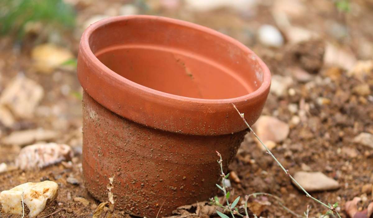 Climatisation naturelle en terre cuite : un souffle d’air frais pour le jardin et la maison